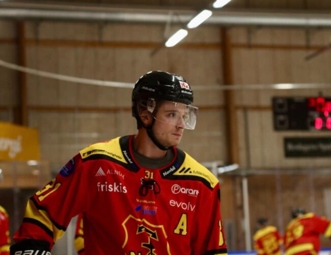 Ödman Hadzinikolic: ”Vill bjuda  på slutspelshockey”