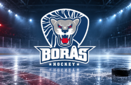 Borås värvar SHL-meriterad center – Erik Andersson klar på korttidsavtal