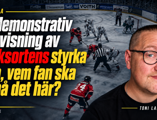 ”Hudik har något som hockeyn håller på att tappa”