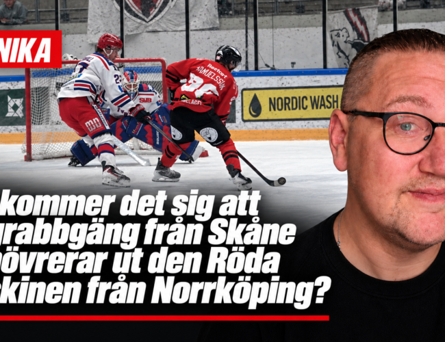 Är det ett systematiskt fel i Vita Hästen?
